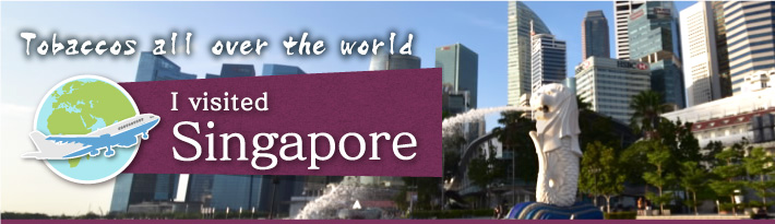 I visited Singapore!